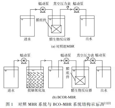 對(duì)照MBR系統(tǒng)與BCO-MBR系統(tǒng)結(jié)構(gòu)示意圖